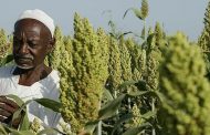 SUDAN FACES WORST FOOD CRISIS IN RECENT HISTORY
