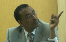 CHAIRPERSON OF ETHIOIAN BOEDERS COMMITTEEE ACCUSES INVOLVEMENT OF THIRD PARTY IN SUDANESE-ETHIOPAN SKIMISHES