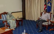 Sudan FM concludes African tour to clarify Khartoum's stance in GERD