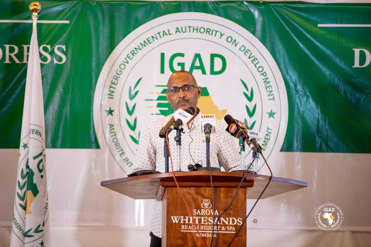 IGAD adopts soft approach to settle Sudanese crisis